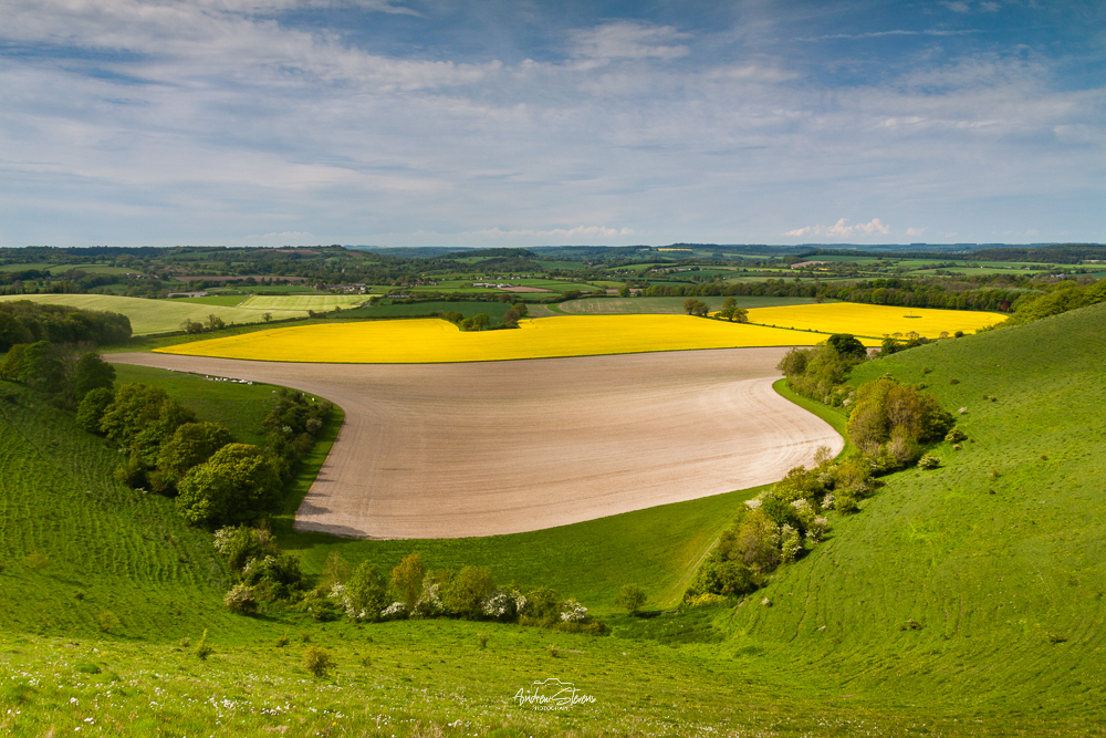 Cranborne Chase
